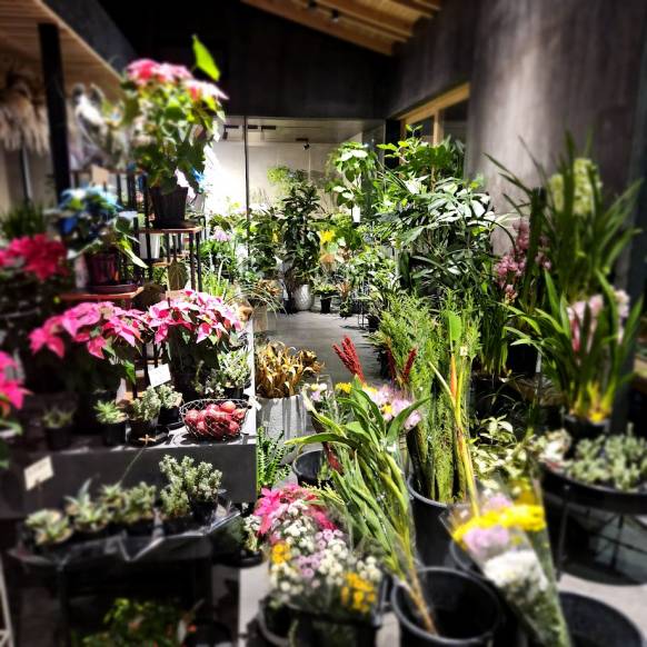 「花源」　（鹿児島県指宿市）の花屋店舗写真3