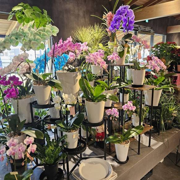 「花源」　（鹿児島県指宿市）の花屋店舗写真4
